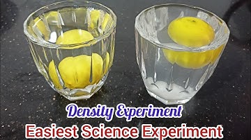 Easy Science Project For Science Exhibition| Science Density Of Water Experiment With Lemon|