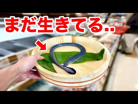 スーパーに売っていた蒲焼になるはずのウナギをペットにしてみた..