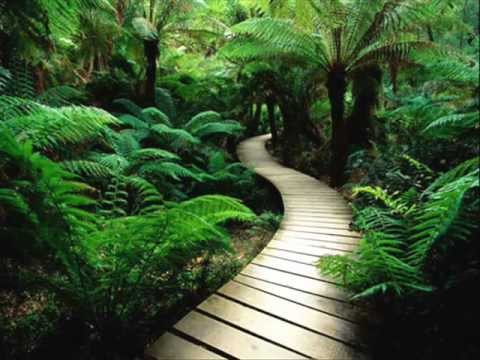 Catalina - Joe Le Taxi 2010 (Treitl Hammond \u0026 GeF Remix)