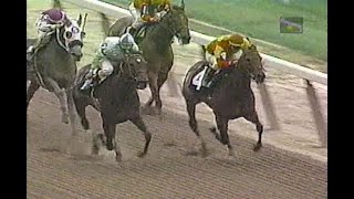 Thoroughbred Action - Belmont Park - July 3rd, 4th & 5th 1996 : With Harvey Pack