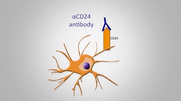 Baffling Lab Mystery Leads to Major Red Blood Cell Discovery