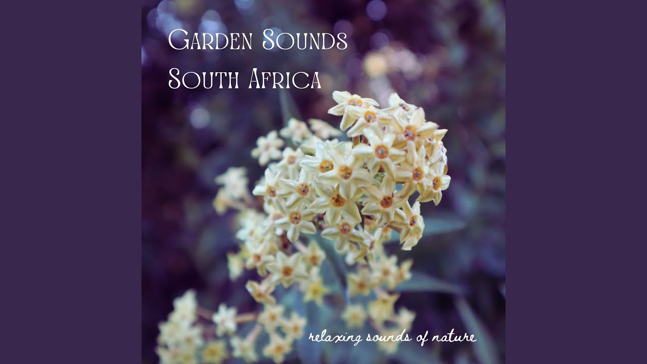 Relaxing Spring Garden Sounds