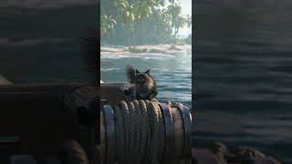 Assassins Creed Black Flag Resynced Naval Ship Pet