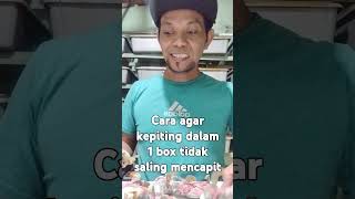 How to fill more than 4 crab seeds in 1 box