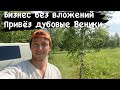 Бизнес без вложений/ Дубовые Веники/ Снова покупаю веники