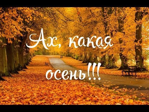 Ах, какая ОСЕНЬ! (детская песенка)