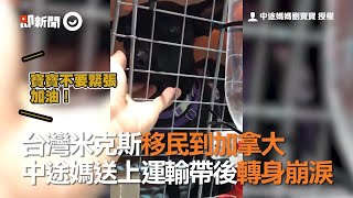 台灣米克斯移民到加拿大 中途媽送上運輸帶後轉身崩淚