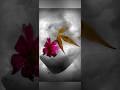 Turning Air Into Art #photography