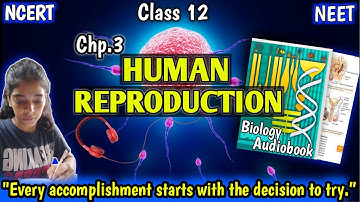 Ch.3 "Human Reproduction." Biology Class 12 NCERT Reading(only). Biology Audiobook. @HiddenStrateG