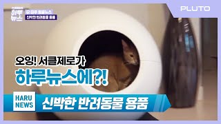 [서클제로] 고양이 자동화장실 서클제로가 하루 뉴스 방송 출연을?!