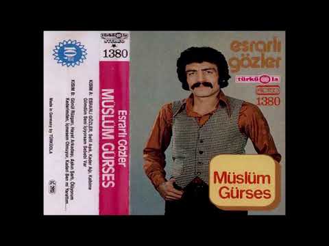 Müslüm Gürses - İçiyorsam Sebebi Var  (Türküola)