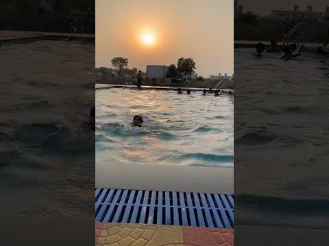 Ek Sawal Ek Biryani Gift Funny Bryani Comedyvideos Comedy Shorts Funnyreel Funnyseries