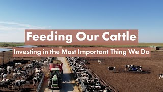 Feeding Our Cattle is the Most Important Thing We Do