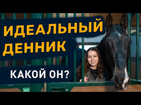 Денник для лошади / Как создать идеальные условия / Комфорт и безопасность