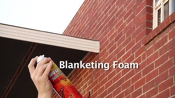 Wasp & Yellow Jacket Foam