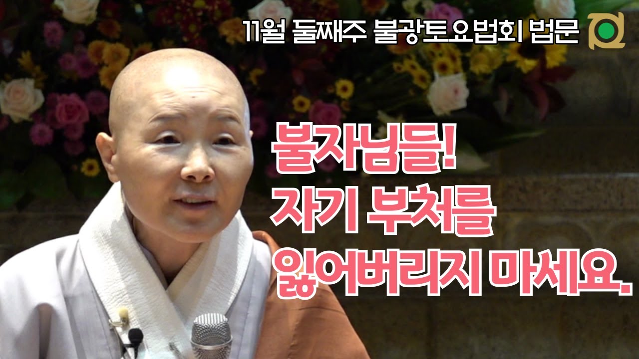 자기 부처를 잃어버리지 마세요ㅣ정목스님(정각사 주지)ㅣ11월 둘째주 불광토요법회 법문 #정목스님 #유나방송 #조견오온개공