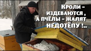 Кролики - издеваются , а пчёлы - жалят недотёпу !