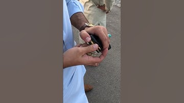 Reloading Rem .223 or 5.56 Mag with American Bullets #gunsounds #weaponssound #asmr #weapon_master