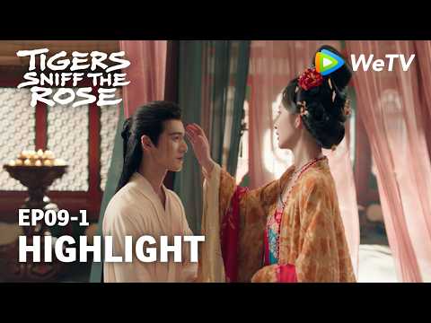 [Highlight] Tigers Sniff the Rose EP09｜He Voluntarily Became Her Right-Hand Man｜Watch NOW on WeTV！