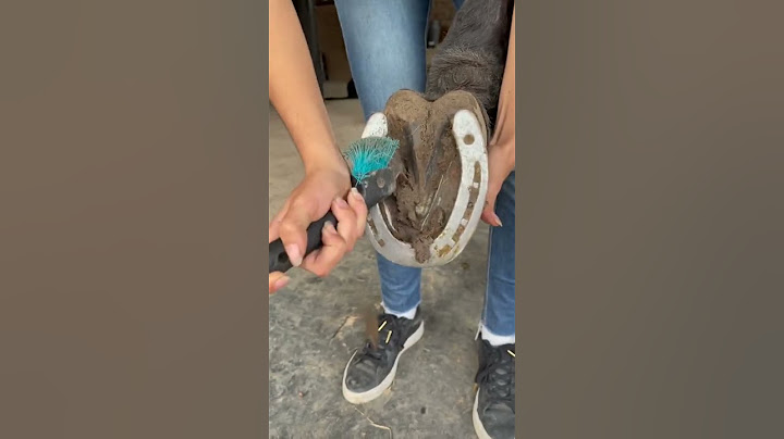 limpieza del casco ASMR  #caballos #horse #animales #asmr  #satisfying