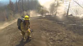 Wildland Firefighters Battle fire.