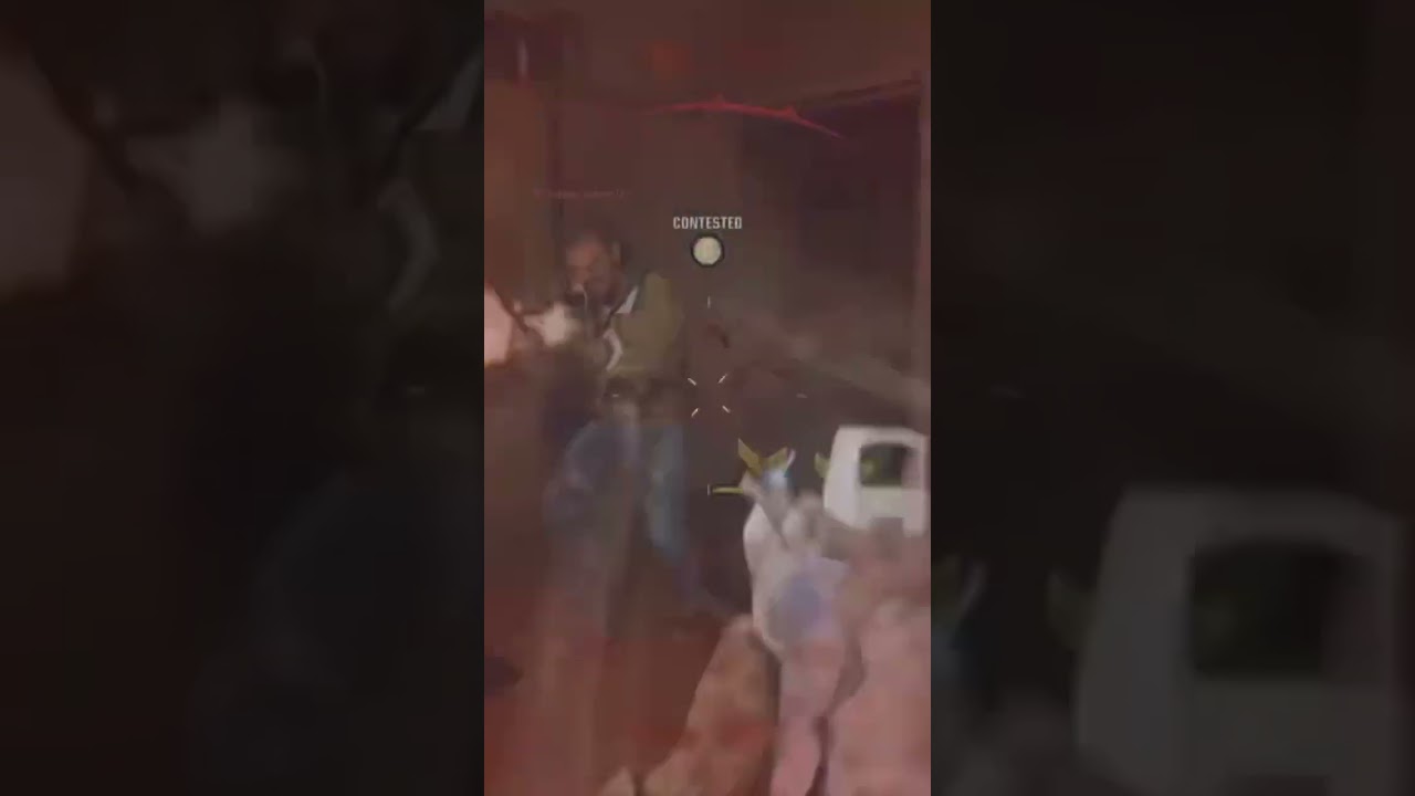 NIGGAS PLAYING CALL OF DUTY BE LIKE 