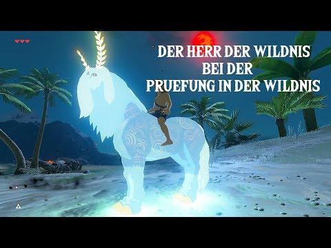 Video: Zelda - Der Dungeon Der Göttlichen Prüfung Im Atem Der Wildnis DLC 2