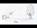 三角比の応用 木の高さを求める【一夜漬け高校数学110】