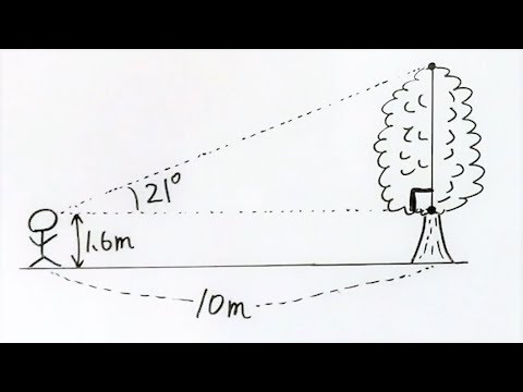 三角比の応用  木の高さを求める【一夜漬け高校数学110】