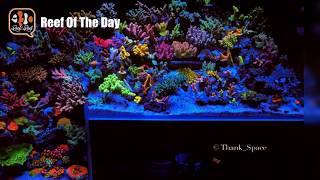 Reef Of The Day: Drop Off Reef