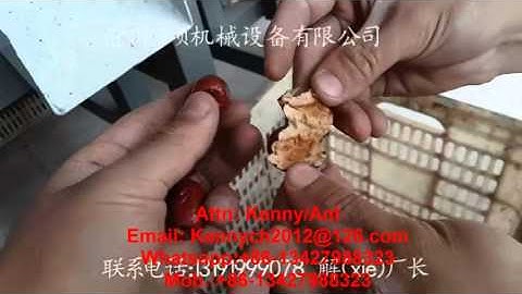 QH-200 Dates Pitting  machine, dried date pitting machine, coring machine