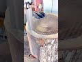 cutting a large round tree log into pieces using a sharp electric vertical band saw machine indoors