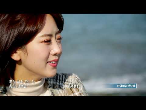 미스트롯 강혜연 + 이미자 섬마을선생님 배경지 안산대부도를 중심으로 안산대부도 관광홍보영상