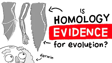 Evidence for Evolution: Homology? | Long Story Short