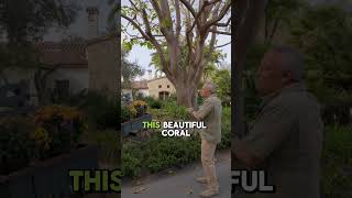 Flower Wagon Lighting Ideas | Creative Outdoor &amp; Landscape Lighting Transformation