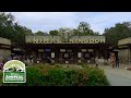 Disney's Animal Kingdom 2021, Orlando, Florida | Full Complete Walkthrough Tour