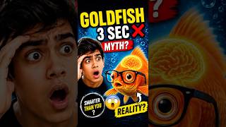 Goldfish ki memory apse zyada tez hai!😱(Exam Memory Hack)