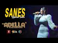 Sanes - Difarina Indra - OM. Adella Live Kaliwungu Kendal Diana Ria Enterprise | SMS Pro Audio