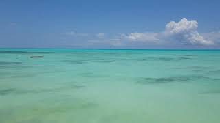 Paradise Zanzibar