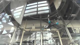 Wind tunnel - Belly flying - Up Down 360 turns