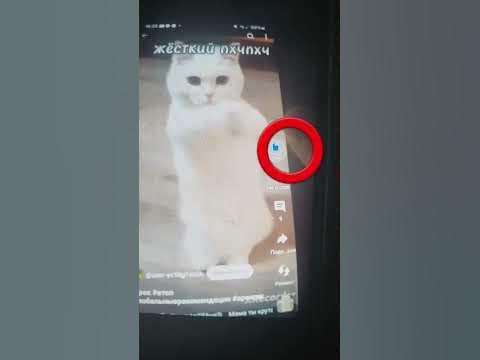 ели ели успела фууух - YouTube