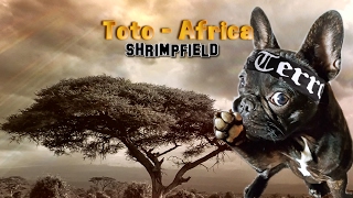 Africa - Toto (Shrimpfield PopPunk COVER)