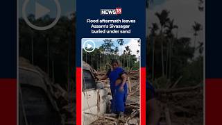 Assam Flood Aftermath: Entire Village Buried Under Sand After Dikhow River Overflow | News18