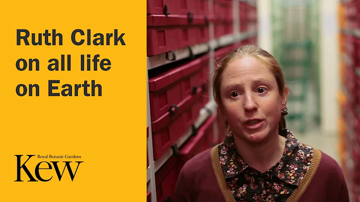 The Plant Family Tree - Ruth Clark on all life on ...