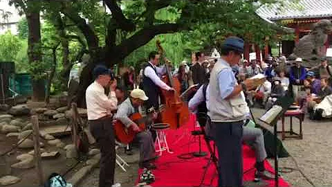 南の花嫁さん 東京大衆歌謡楽団 Mp3