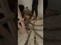 10rm, 25rm &amp; 50rm NYY Cable Installation You Must See! Underground Cable Laying |#cablelaying