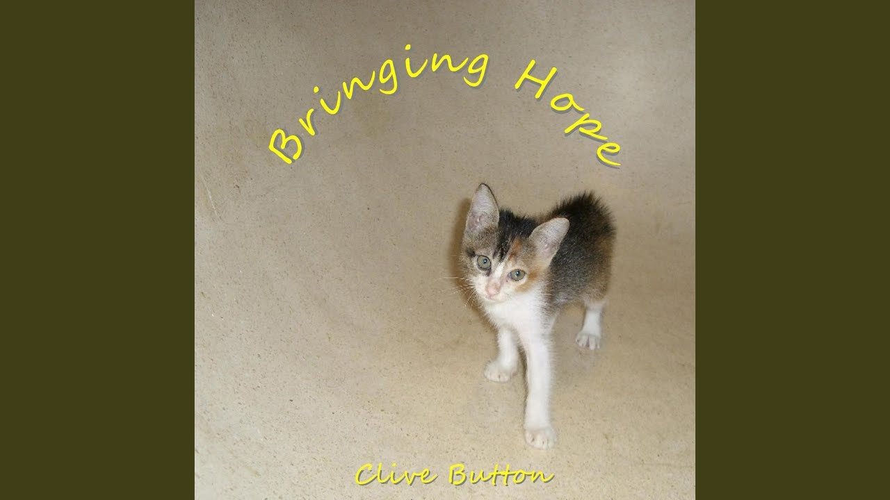 Shizzle auf YouTube ansehen Shizzle auf YouTube ansehen