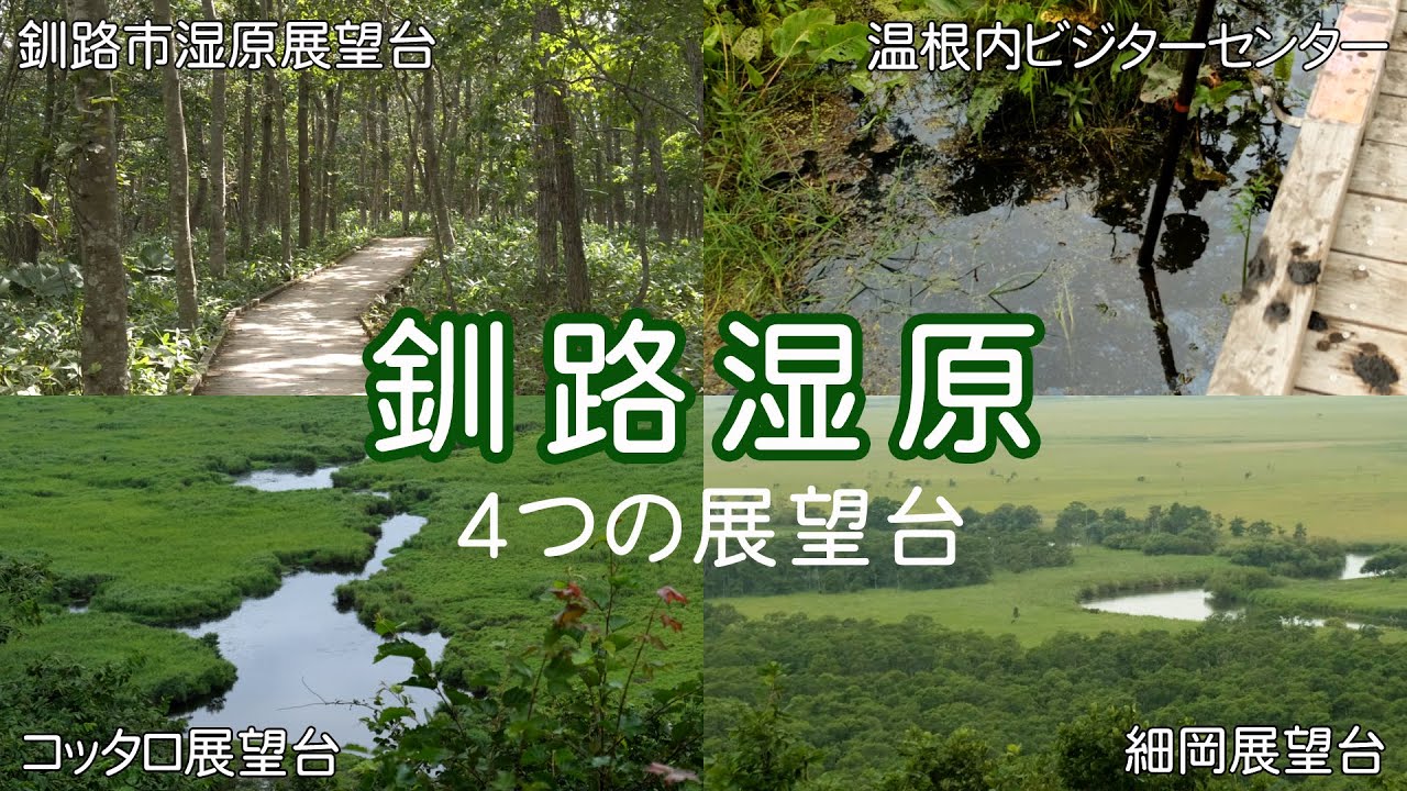 【北海道 | 釧路】釧路湿原 KUSHIRO MARSH 4VIEWING PLACES | 2021 日高・道東の馬旅 #12 【旅日記vol.050】