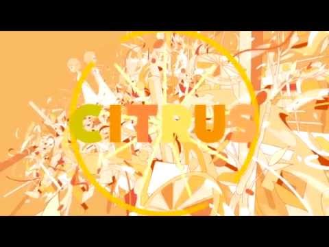Megatera Zero ~ CITRUS [VOSTFR]