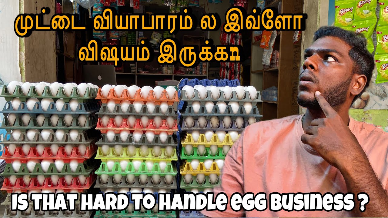 கண்டிப்பா முட்டை வியாபாரம் பத்தி தெரிஞ்சிக்கோங்க 🤷🏻‍♂️| Jaba_business_talks #business #egg #sales